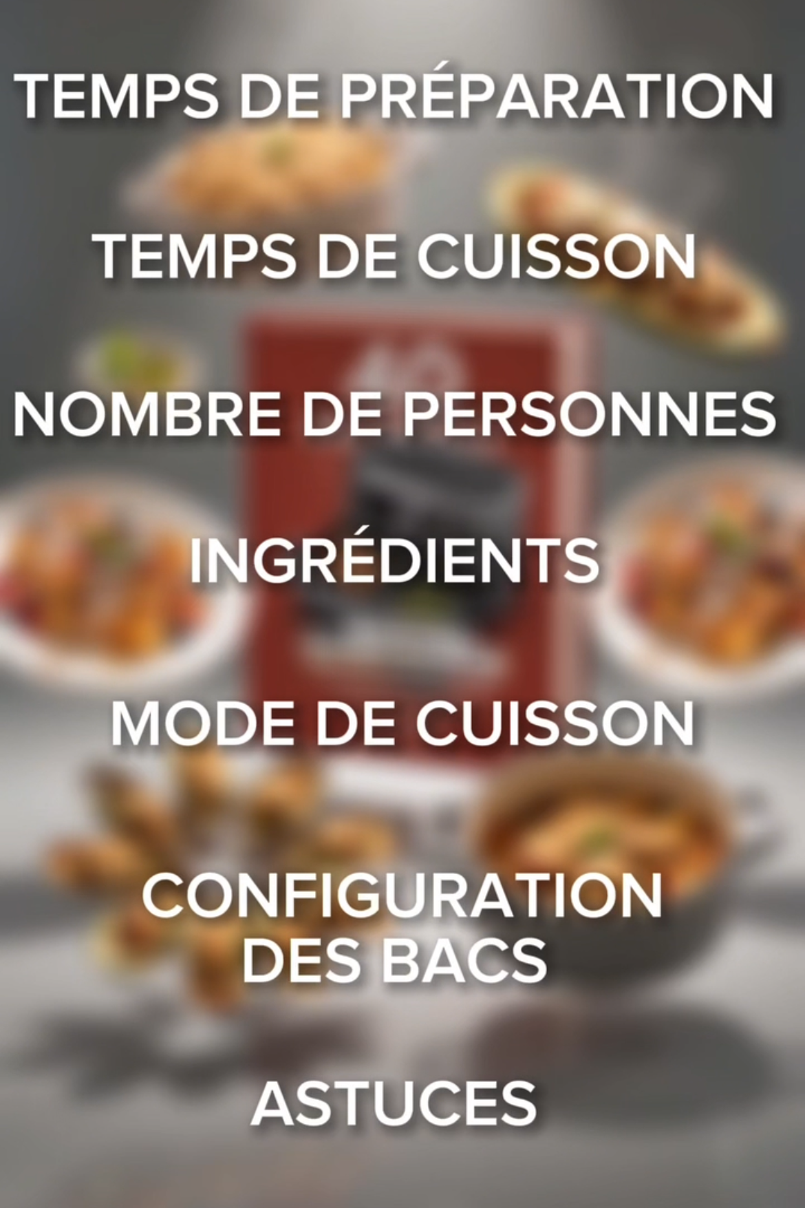 eBook 40 Recettes pour Ninja Foodi Flex 10.4L